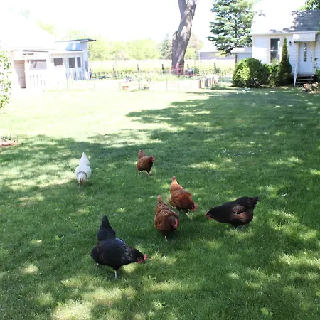 Green Oaks B&B-3